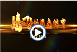 &#70;&#71;&#30005;&#23376;&#40;&#20013;&#22269;&#28216;&#41;&#23448;&#26041;&#32593;&#31449;