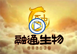 &#70;&#71;&#30005;&#23376;&#40;&#20013;&#22269;&#28216;&#41;&#23448;&#26041;&#32593;&#31449;