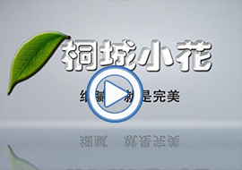 &#70;&#71;&#30005;&#23376;&#40;&#20013;&#22269;&#28216;&#41;&#23448;&#26041;&#32593;&#31449;